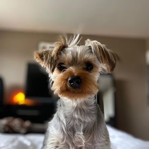 Meet your Posher, Kathy